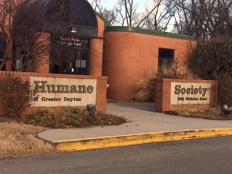 The Humane Society of Greater Dayton Provides Resources To Domestic Violence Victims